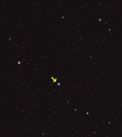 ss cyg